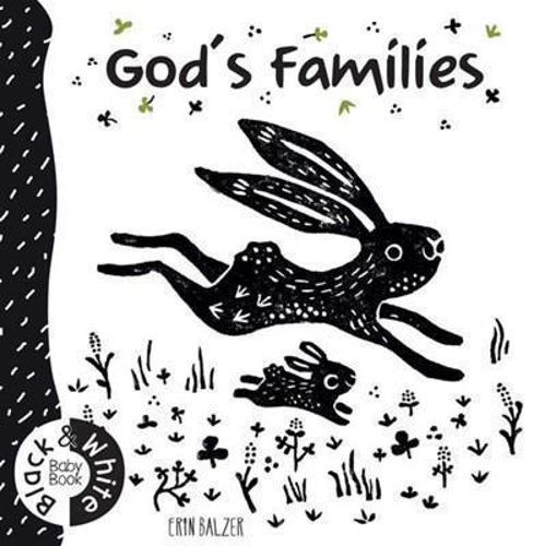 Picture of God's Families:Black and White Baby Book