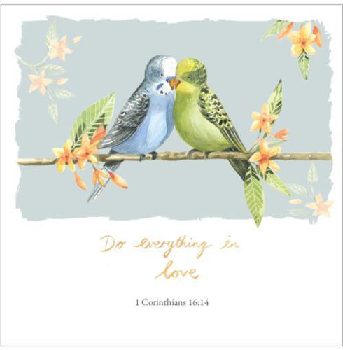 Picture of Budgies - Love