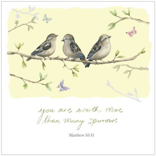 Picture of Sparrows Notecard