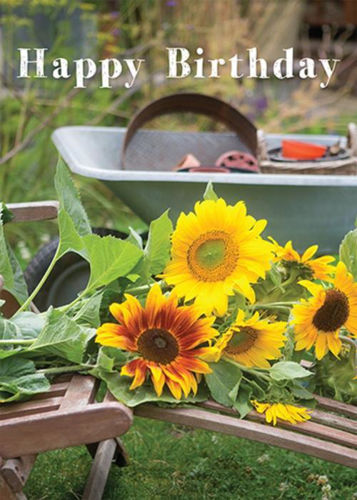 Picture of Birthday - Sunflower Gardening