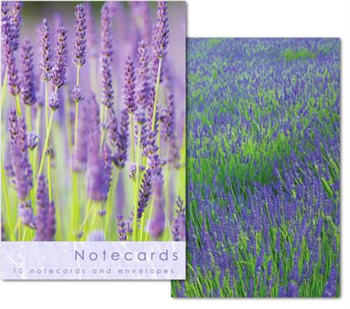 Picture of Notecards - Blank - Lavender