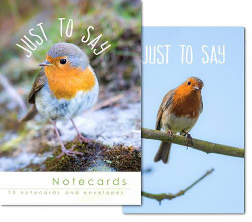 Picture of Notecards - Blank - Robins