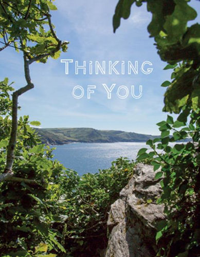 Picture of Thinking of you - Sea through trees