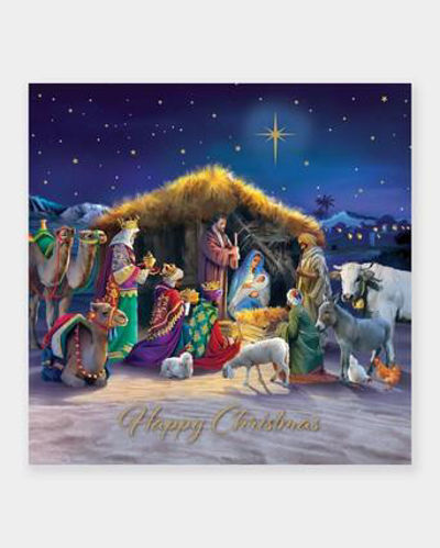 Picture of Christmas - TLM - Starlit Stable