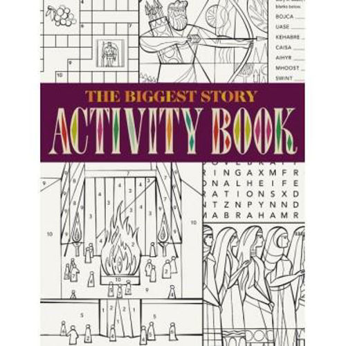 Picture of Biggest Story Activity Book, The