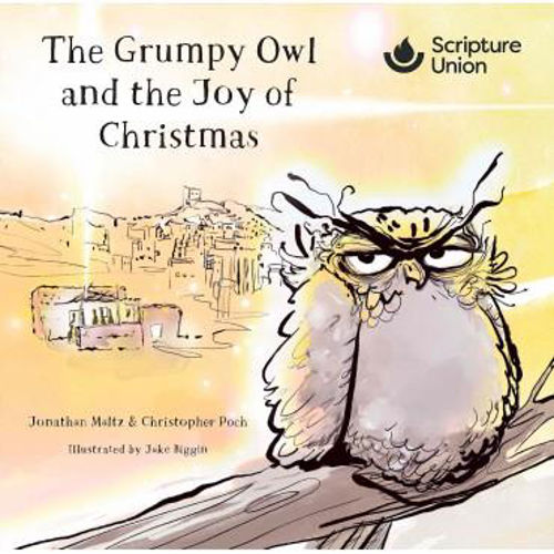 Picture of Grumpy Owl and the Joy of Christmas, The