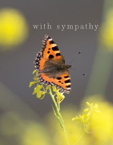 Picture of Sympathy Tortoiseshell Butterfly Greetings Card
